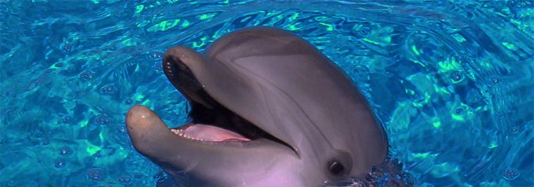 Biloxi Attractions